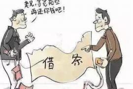 东兴区债务清欠服务